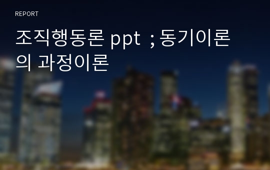 조직행동론 ppt  ; 동기이론의 과정이론