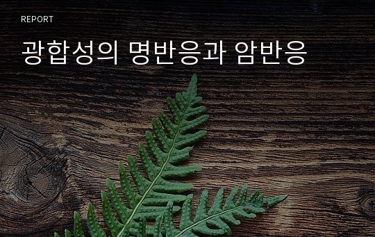 광합성의 명반응과 암반응