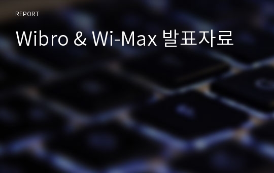 Wibro &amp; Wi-Max 발표자료