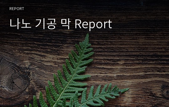 나노 기공 막 Report