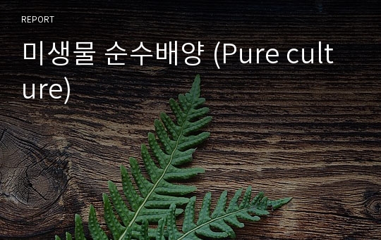 미생물 순수배양 (Pure culture)