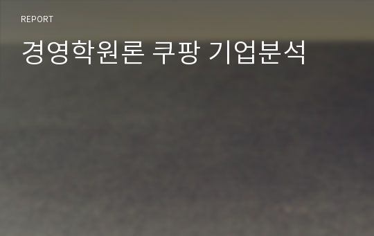 경영학원론 쿠팡 기업분석