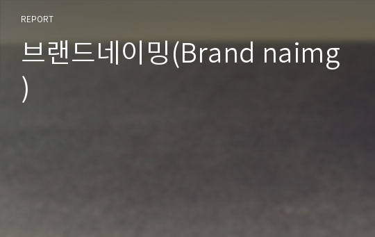 브랜드네이밍(Brand naimg)