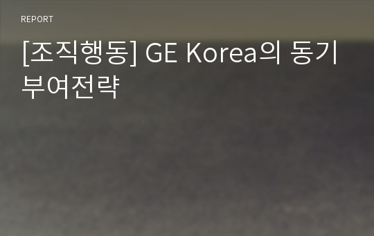 [조직행동] GE Korea의 동기부여전략