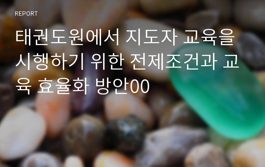 태권도원에서 지도자 교육을 시행하기 위한 전제조건과 교육 효율화 방안00