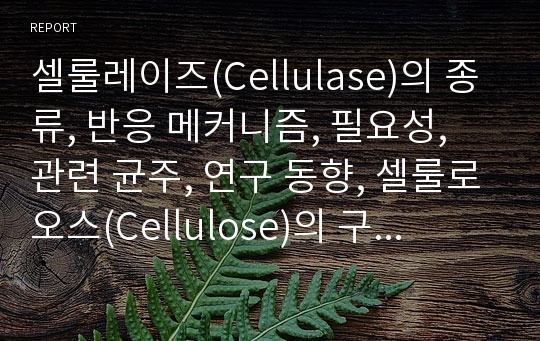 셀룰레이즈(Cellulase)의 종류, 반응 메커니즘, 필요성, 관련 균주, 연구 동향, 셀룰로오스(Cellulose)의 구조와 성질