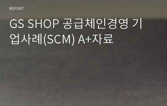 GS SHOP 공급체인경영 기업사례(SCM) A+자료