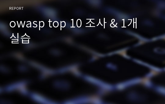 owasp top 10 조사 &amp; 1개 실습