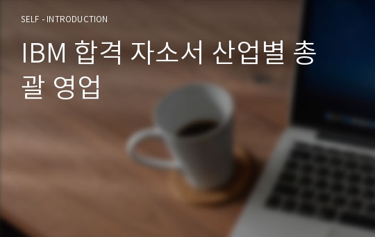 IBM 합격 자소서 산업별 총괄 영업