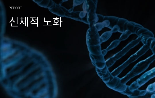 신체적 노화