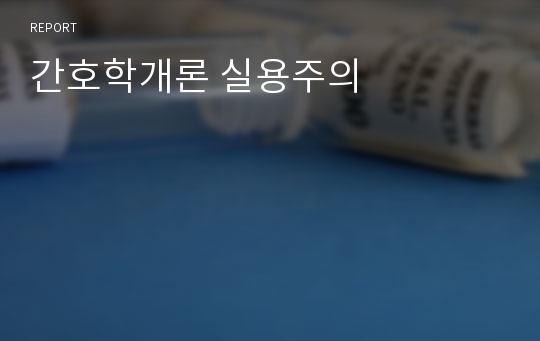 간호학개론 실용주의