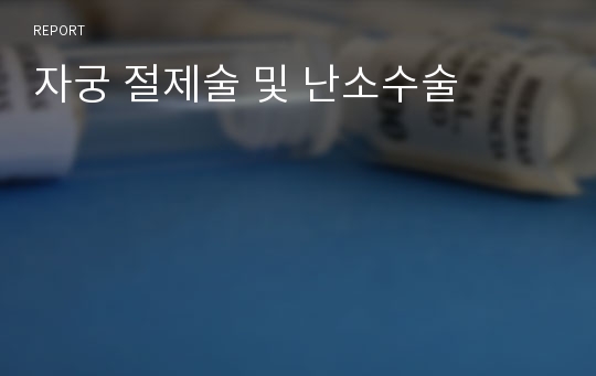 자궁 절제술 및 난소수술