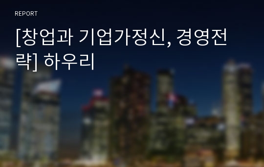 [창업과 기업가정신, 경영전략] 하우리