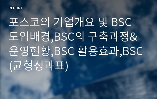 포스코의 기업개요 및 BSC 도입배경,BSC의 구축과정&amp;운영현황,BSC 활용효과,BSC(균형성과표)