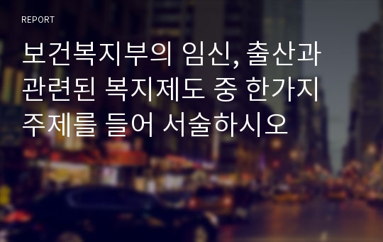 보건복지부의 임신, 출산과 관련된 복지제도 중 한가지 주제를 들어 서술하시오