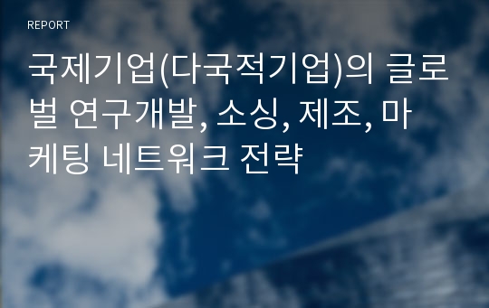 국제기업(다국적기업)의 글로벌 연구개발, 소싱, 제조, 마케팅 네트워크 전략