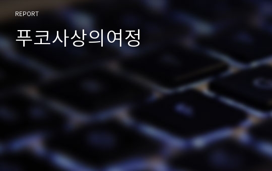 푸코사상의여정