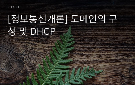 [정보통신개론] 도메인의 구성 및 DHCP