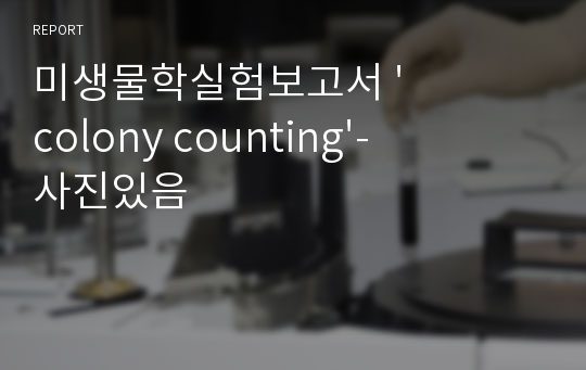 미생물학실험보고서 &#039;colony counting&#039;-사진있음