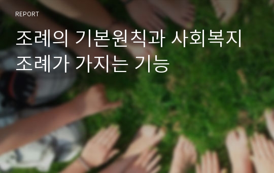 조례의 기본원칙과 사회복지조례가 가지는 기능