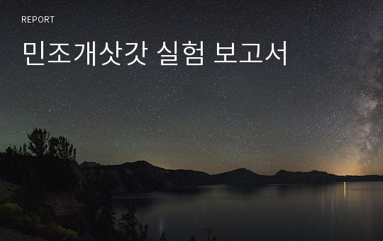 민조개삿갓 실험 보고서