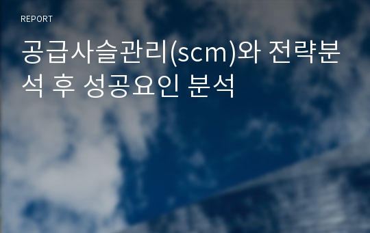 공급사슬관리(scm)와 전략분석 후 성공요인 분석