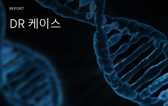 DR 케이스