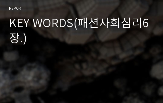 KEY WORDS(패션사회심리6장.)