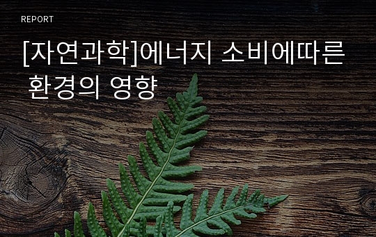 [자연과학]에너지 소비에따른 환경의 영향