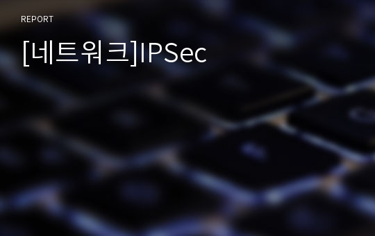[네트워크]IPSec