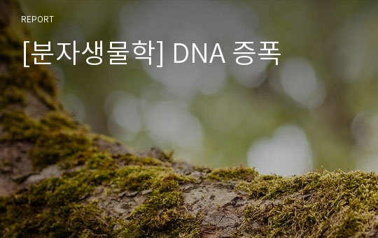 [분자생물학] DNA 증폭