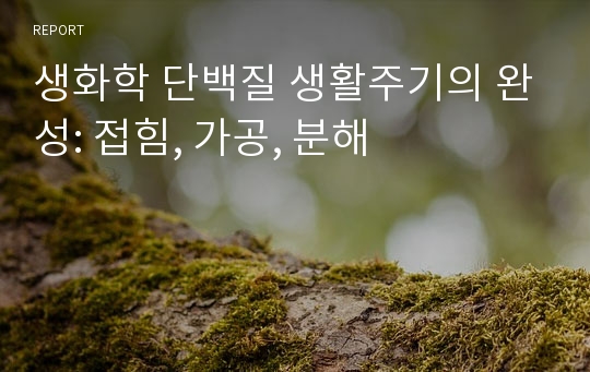 생화학 단백질 생활주기의 완성: 접힘, 가공, 분해