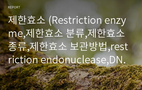 제한효소 (Restriction enzyme,제한효소 분류,제한효소 종류,제한효소 보관방법,restriction endonuclease,DNA 절단)