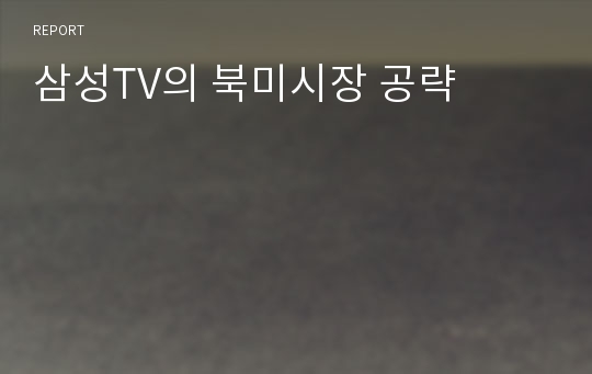 삼성TV의 북미시장 공략