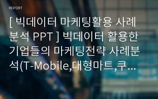 빅데이터 마케팅활용사례 PPT