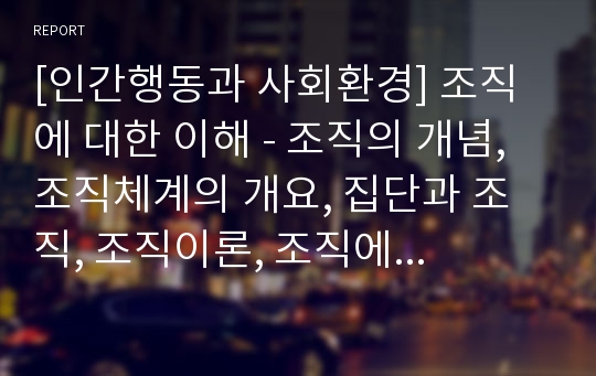 [인간행동과 사회환경] 조직에 대한 이해 - 조직의 개념, 조직체계의 개요, 집단과 조직, 조직이론, 조직에 대한 관점, 조직과 사회복지실천