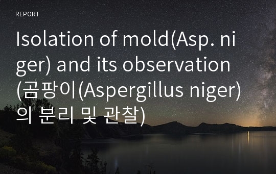 Isolation of mold(Asp. niger) and its observation (곰팡이(Aspergillus niger)의 분리 및 관찰)