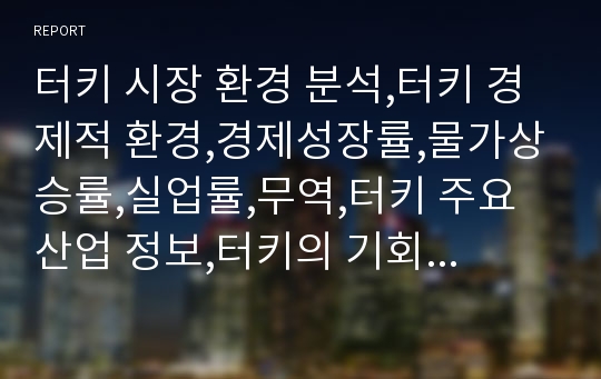 터키 시장 환경 분석,터키 경제적 환경,경제성장률,물가상승률,실업률,무역,터키 주요 산업 정보,터키의 기회와 위협,터키 성공사례 분석