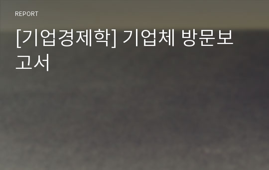 [기업경제학] 기업체 방문보고서