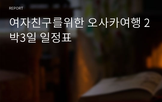 여자친구를위한 오사카여행 2박3일 일정표