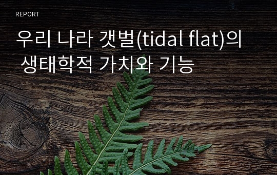 우리 나라 갯벌(tidal flat)의 생태학적 가치와 기능