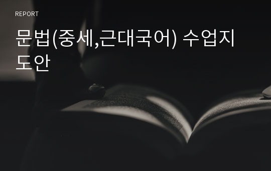 문법(중세,근대국어) 수업지도안