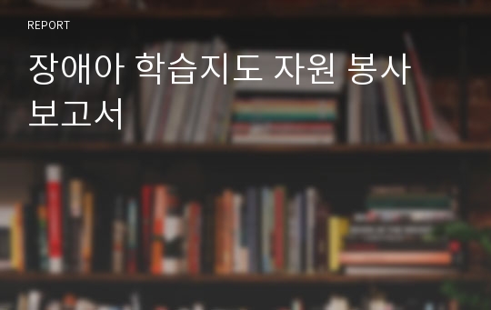 장애아 학습지도 자원 봉사 보고서