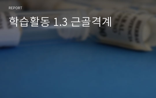 학습활동 1.3 근골격계