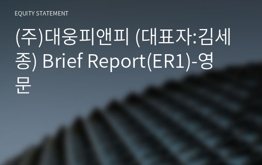 (주)대웅피앤피 Brief Report(ER1)-영문