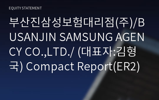 부산진삼성보험대리점(주)/BUSANJIN SAMSUNG AGENCY CO.,LTD./ Compact Report(ER2)-영문