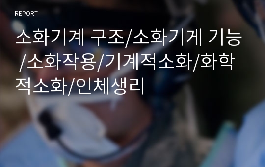 소화기계 구조/소화기게 기능 /소화작용/기계적소화/화학적소화/인체생리