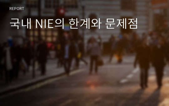 국내 NIE의 한계와 문제점