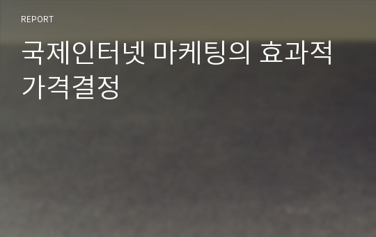 국제인터넷 마케팅의 효과적 가격결정