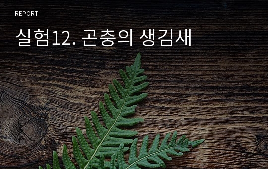 실험12. 곤충의 생김새